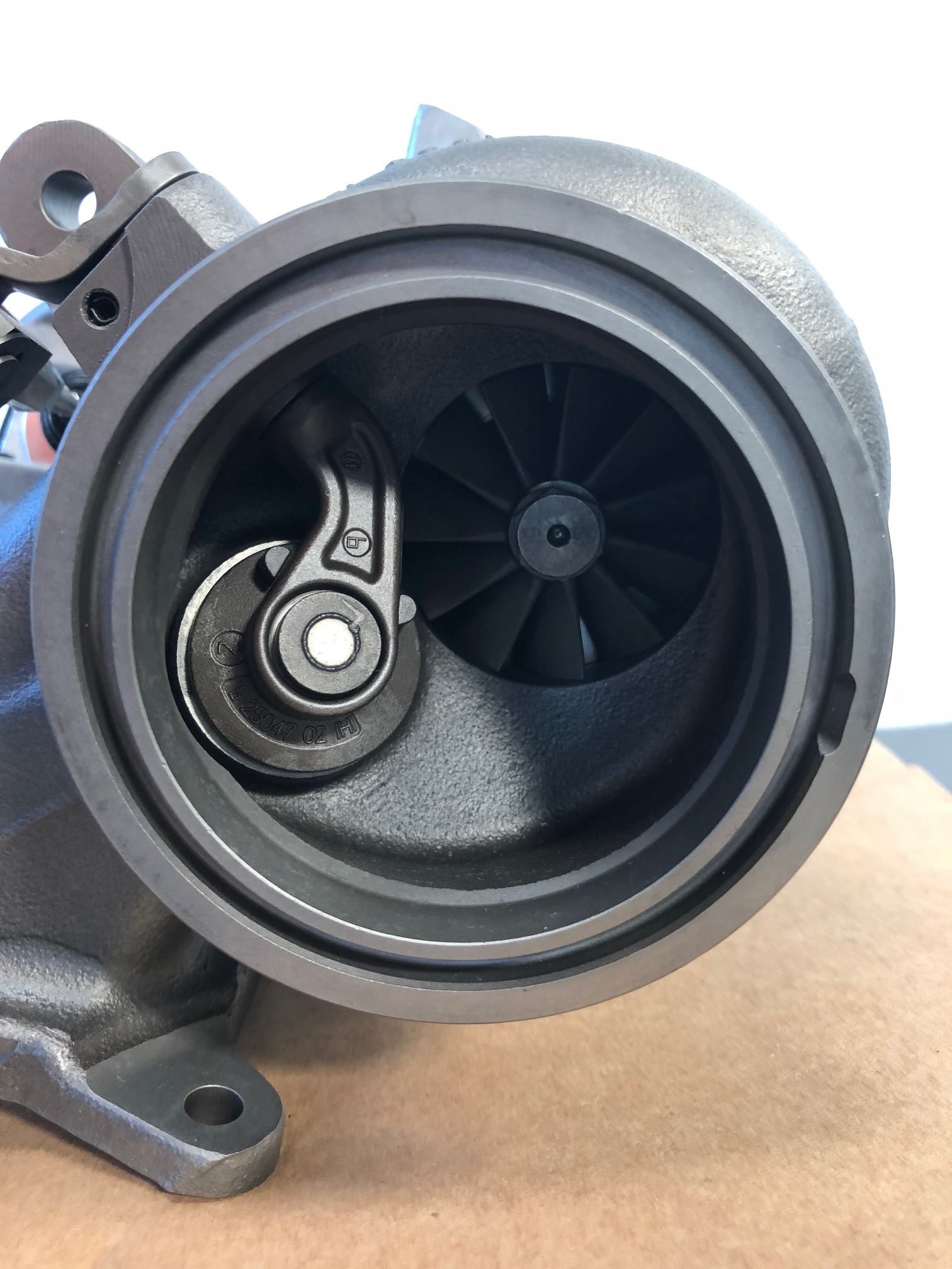 A picture containing sitting, sky
Description automatically generated